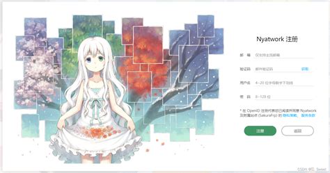 SakuraFrp 4.0.